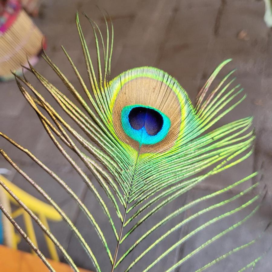 Rambow Maerchenhaft Urlauben Auf Dem Alpakahof 아파트 외부 사진