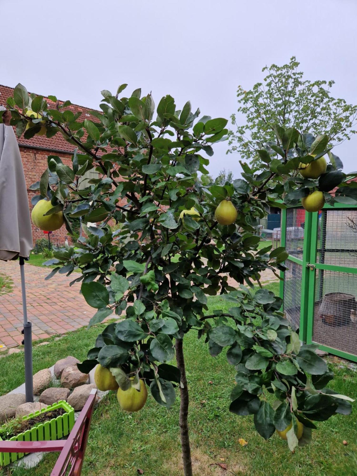 Rambow Maerchenhaft Urlauben Auf Dem Alpakahof 아파트 외부 사진