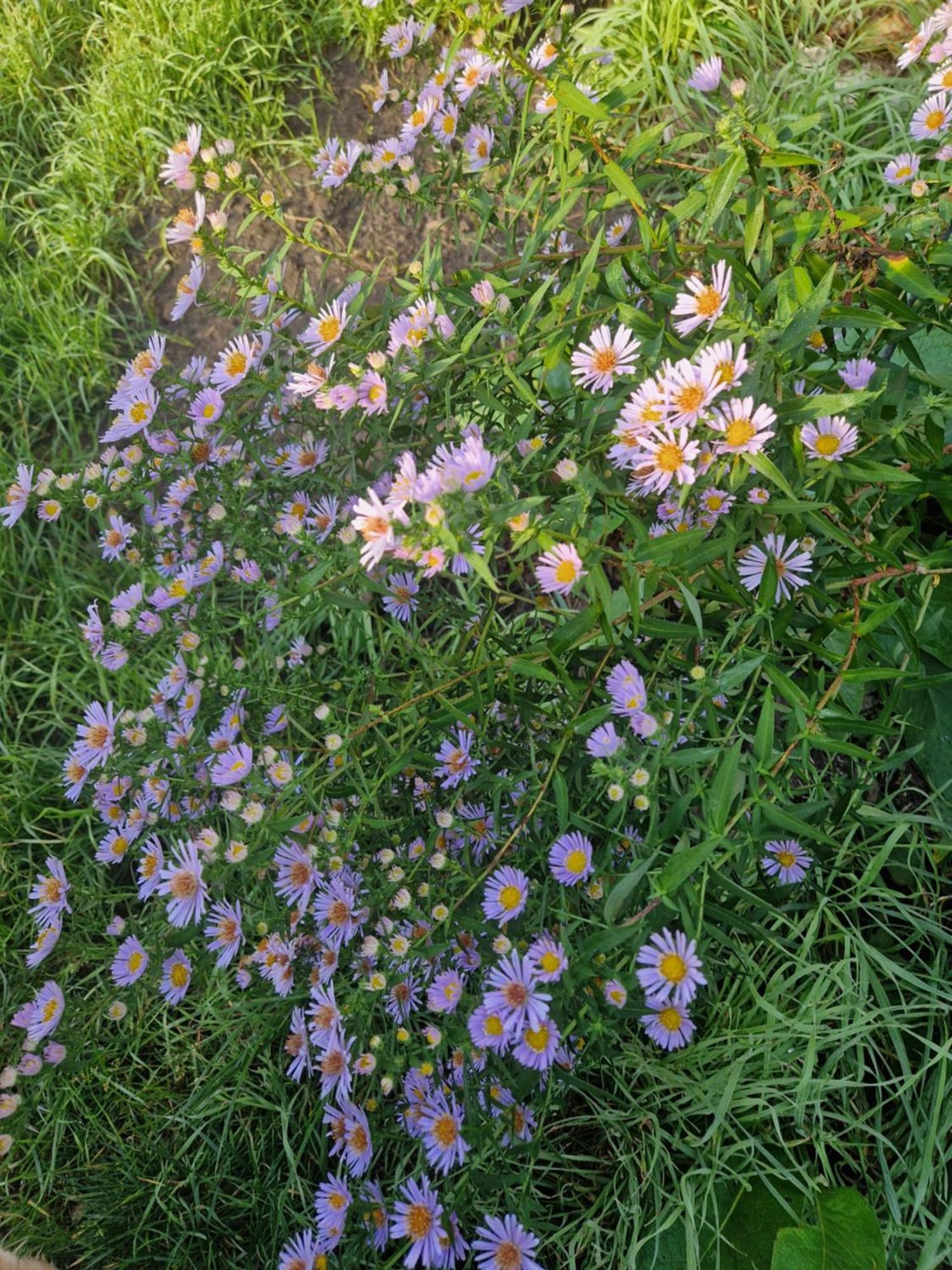 Rambow Maerchenhaft Urlauben Auf Dem Alpakahof 아파트 외부 사진
